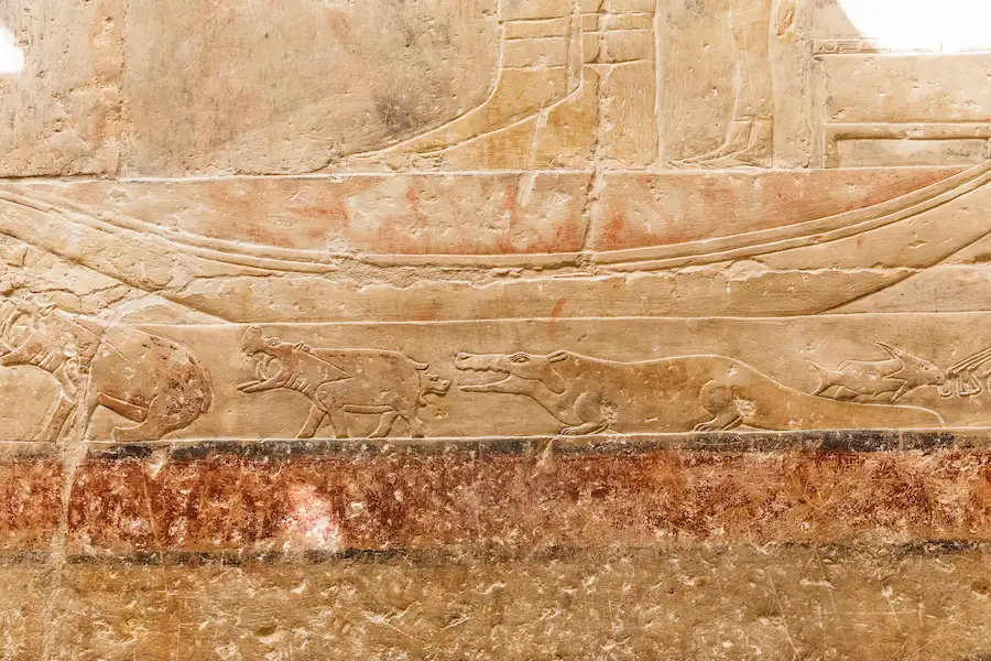  Dangerous Animals in Ancient Egypt