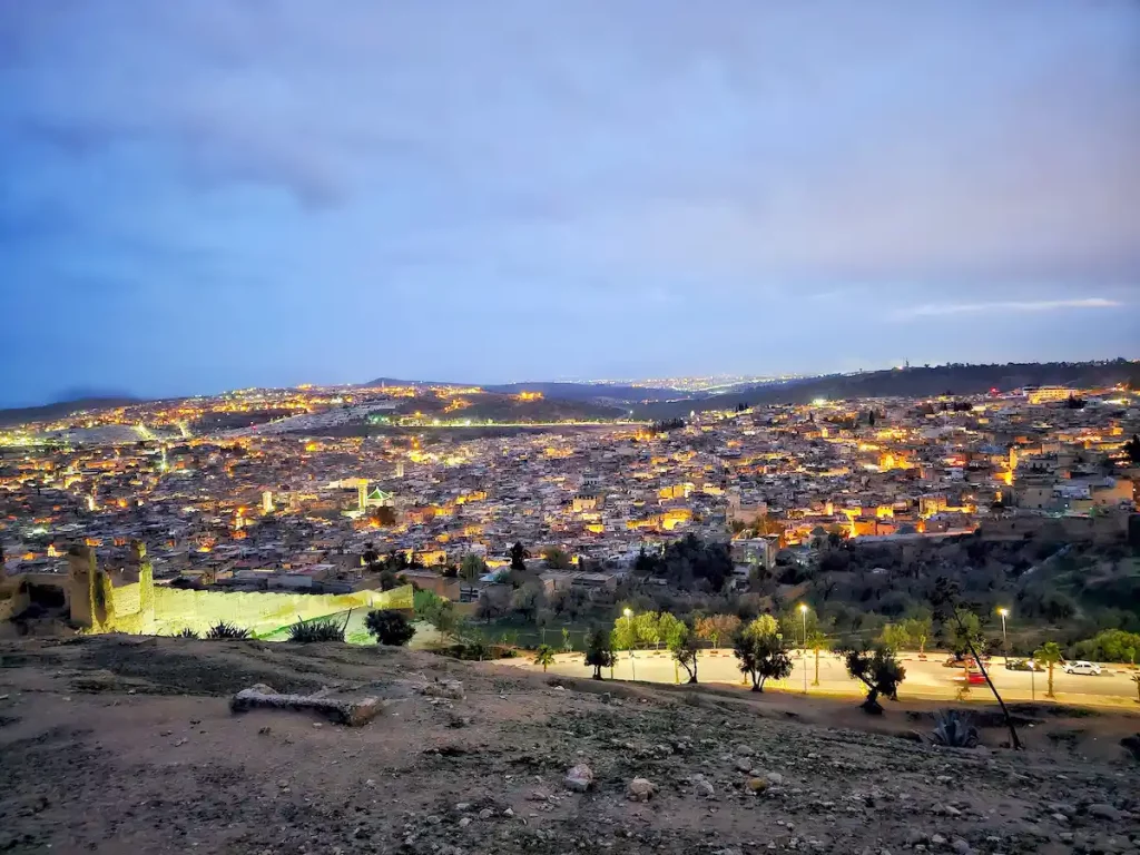 View of Fez from the Marinid tombs