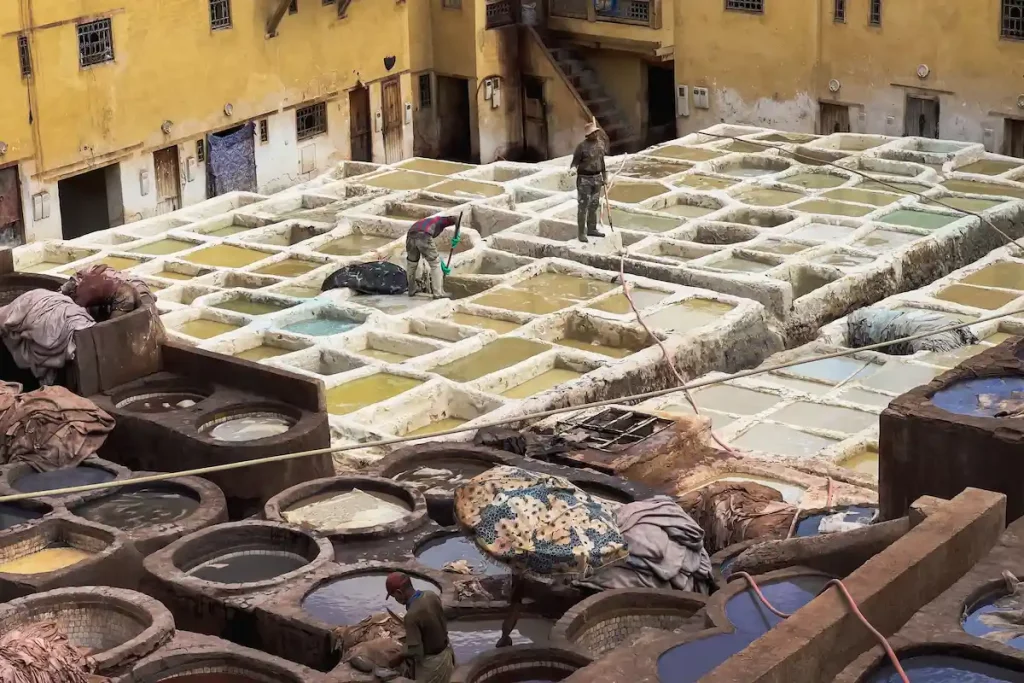 Men working at Chouara tannery in the old town of Fez, Morocco