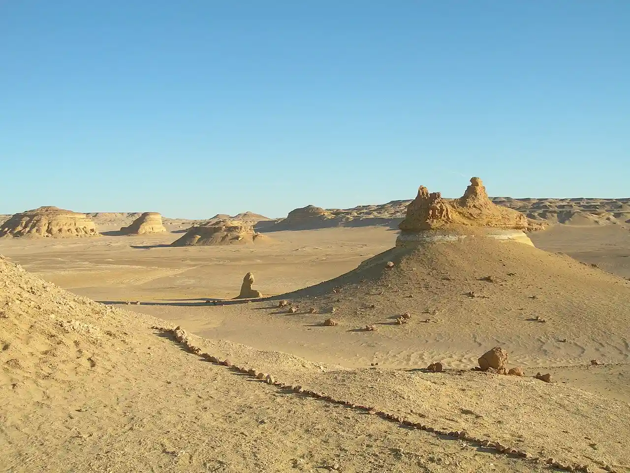 Wadi_Al-Hitan_(Whale_Valley)