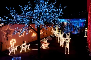 Top Rated Christmas Holiday in Egypt