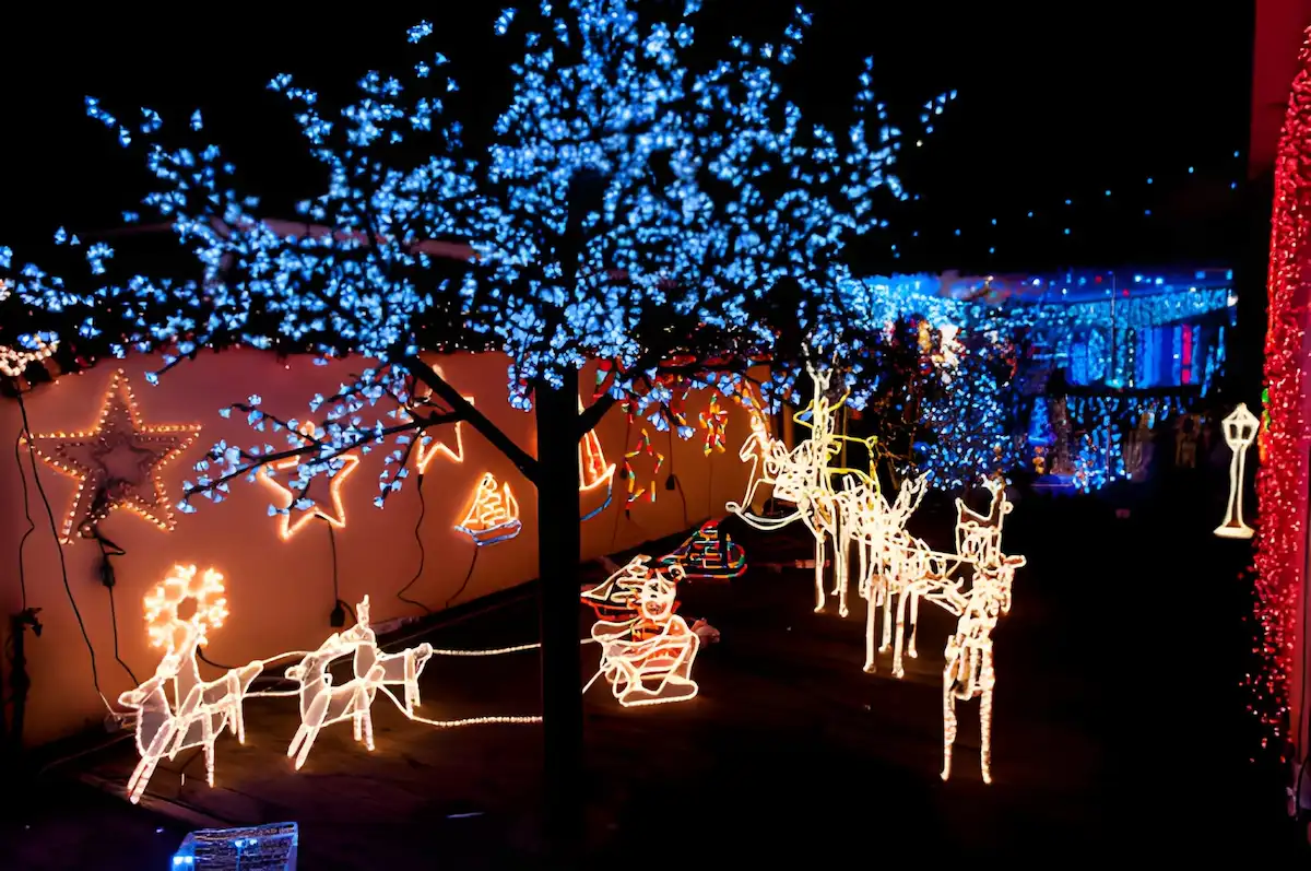 Top Rated Christmas Holiday in Egypt