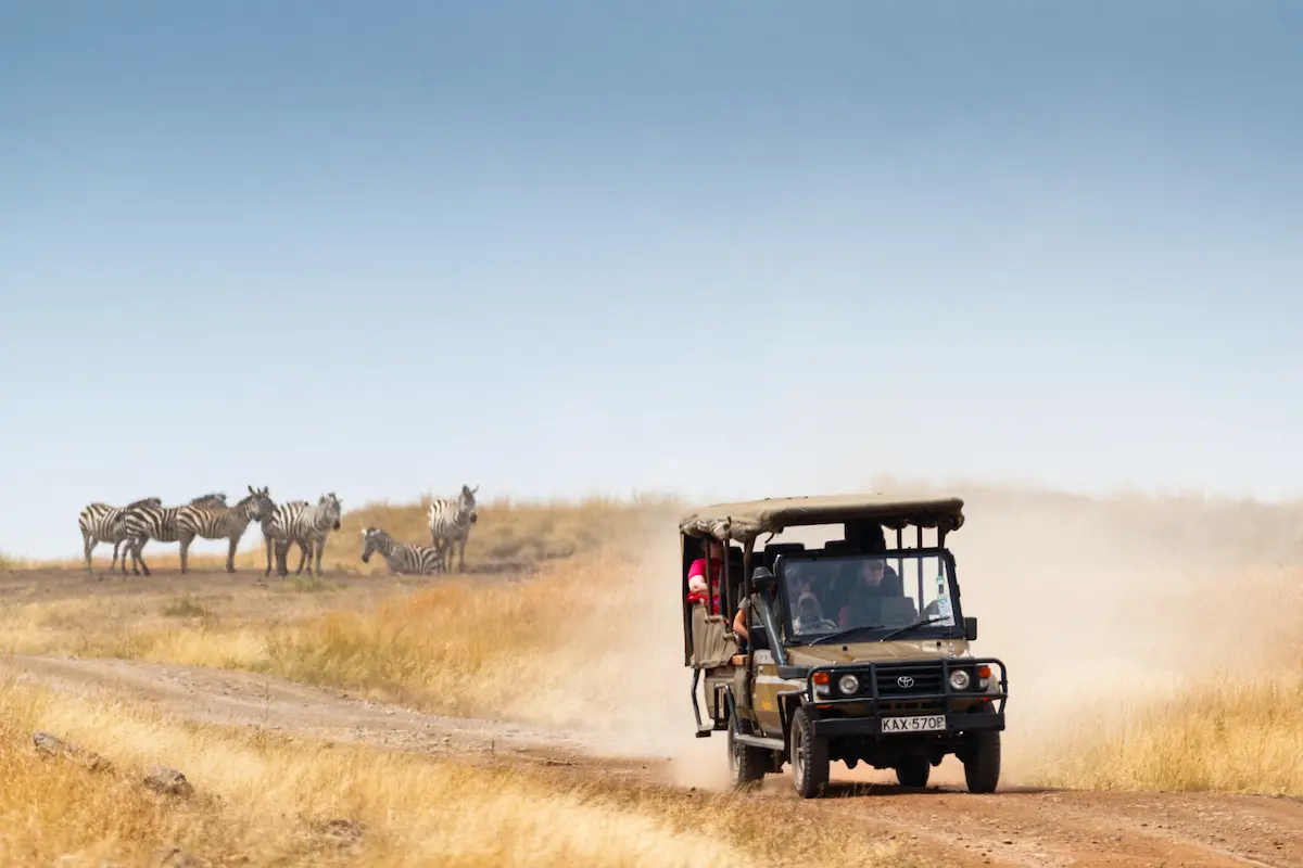 Masai Mara, Kenya, Africa - July 29, 2017: Safari tourists view herds of zebra during migration season in the Mara Triangle region of Kenya