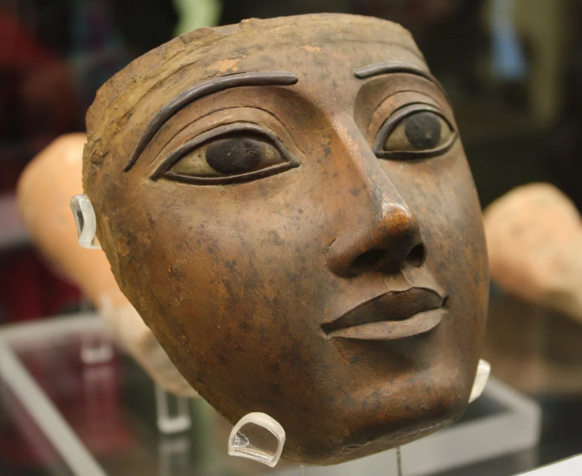 Cosmetics in the Ancient egyptian coffin