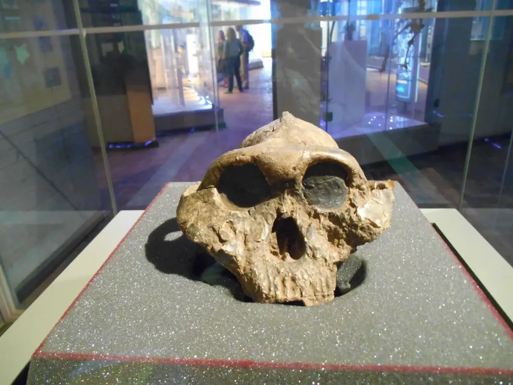 History of Nairobi National Museum