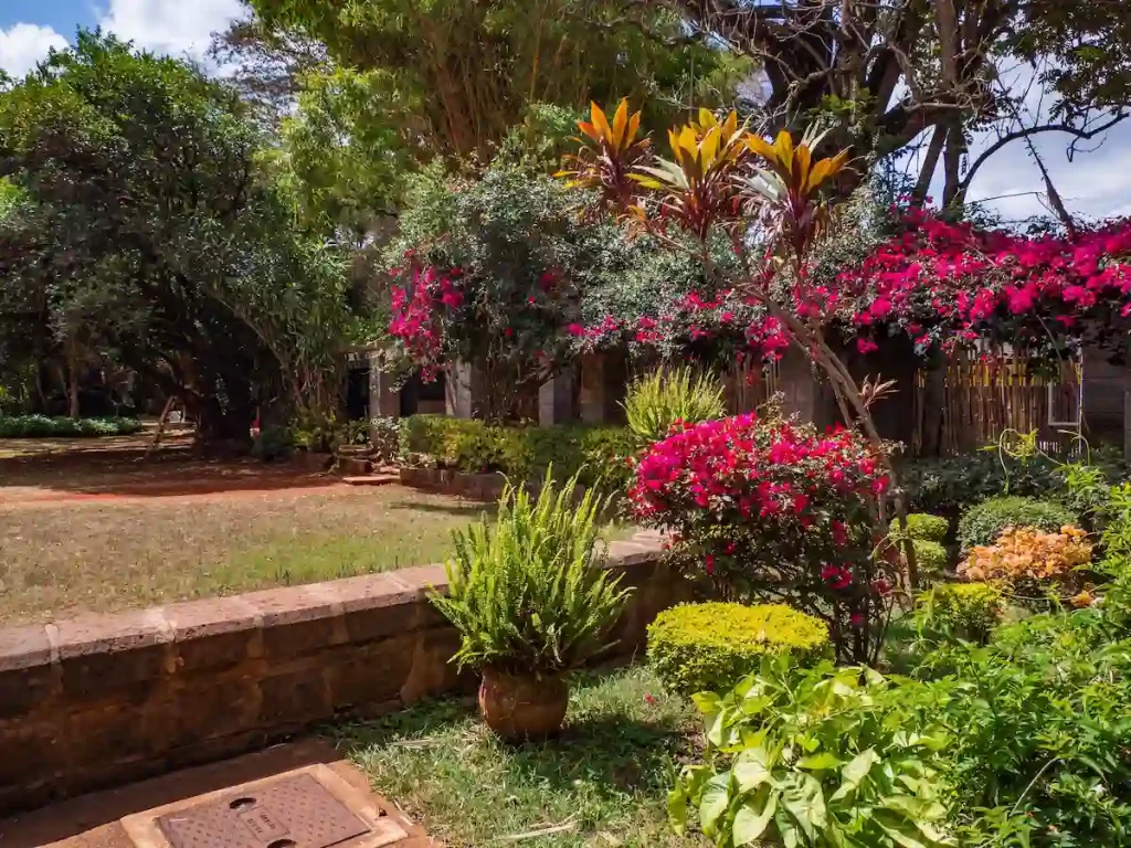 Nairobi, Kenya. Garden with beautiful flowers in Karen Blixen Museum.
