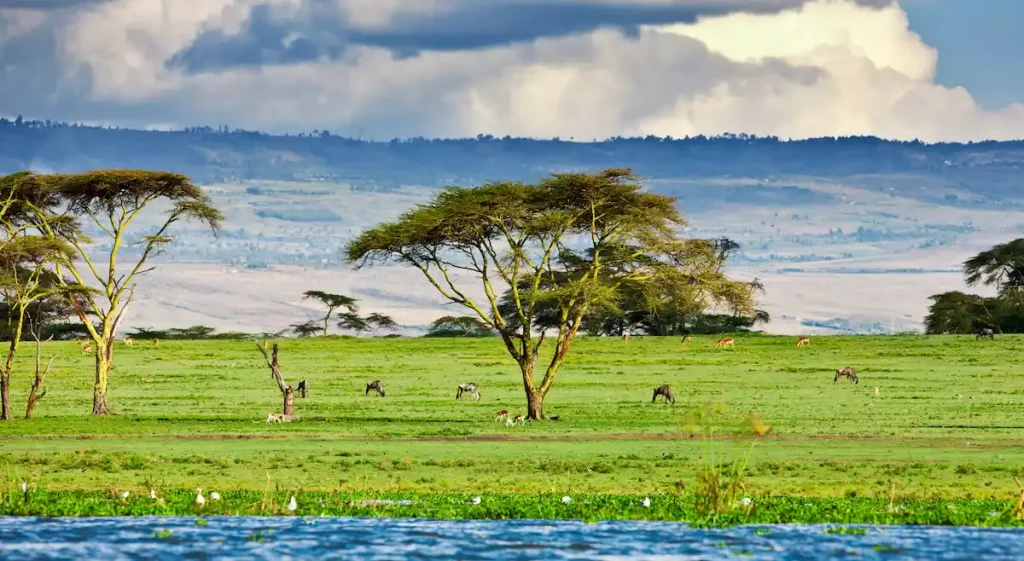Lake Naivasha in Kenya, Africa