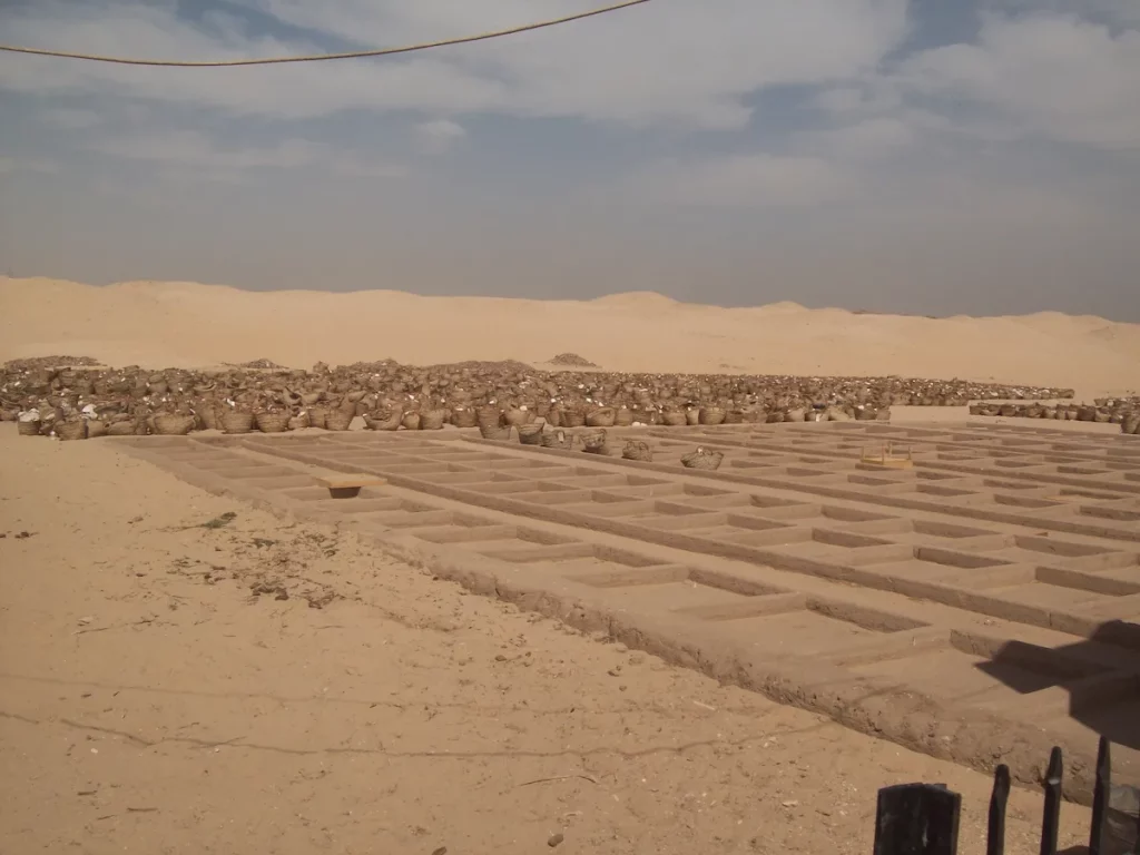 Umm el-Qa'ab