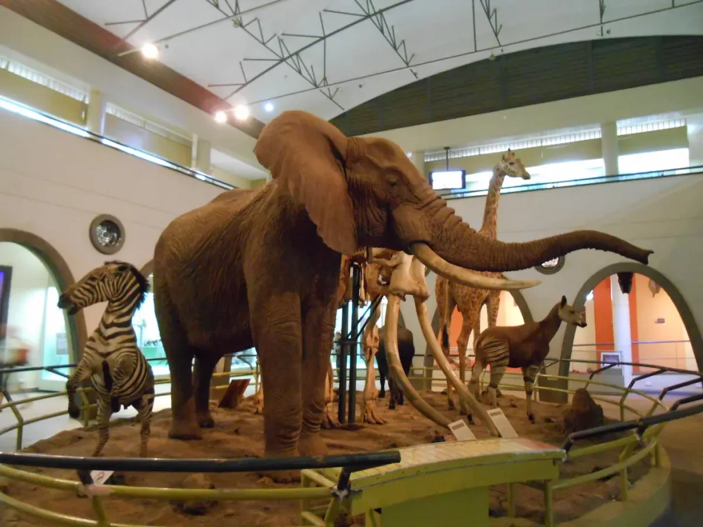 Nairobi National Museum