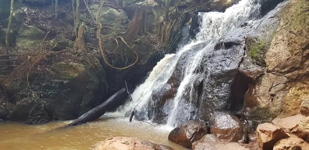 Karura Forest in Nairobi. Kenya. Africa. Waterfall. Fabulous background