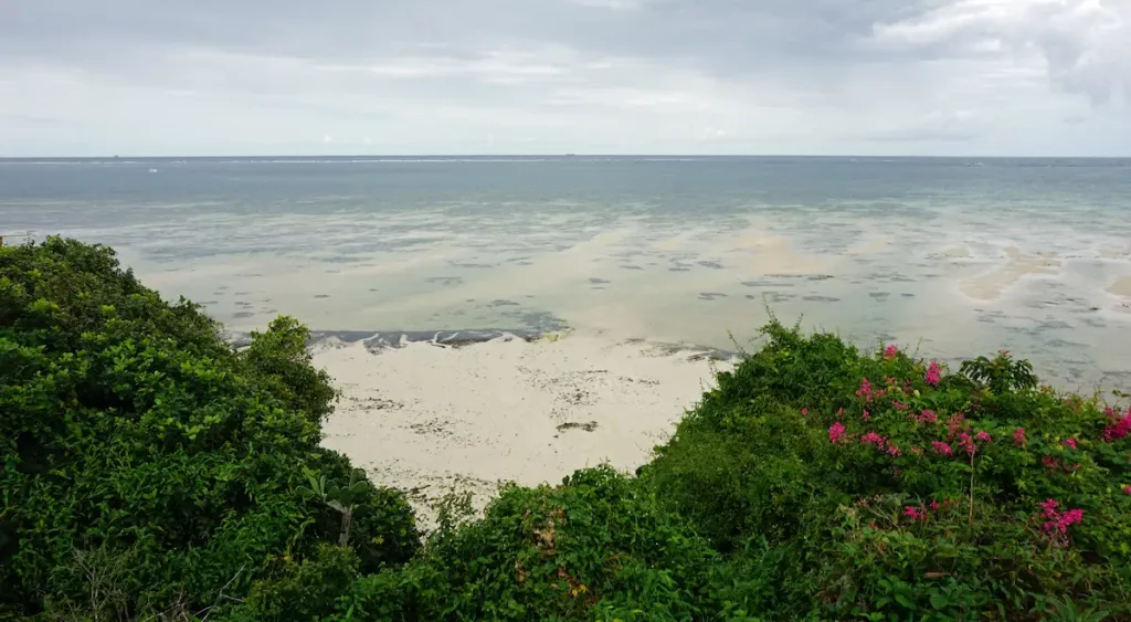 wild coast of nyali in kenya on a cloudy day