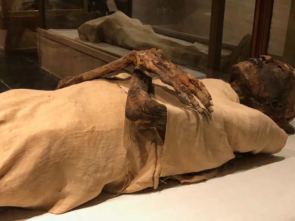 Ramesses IV Mummy