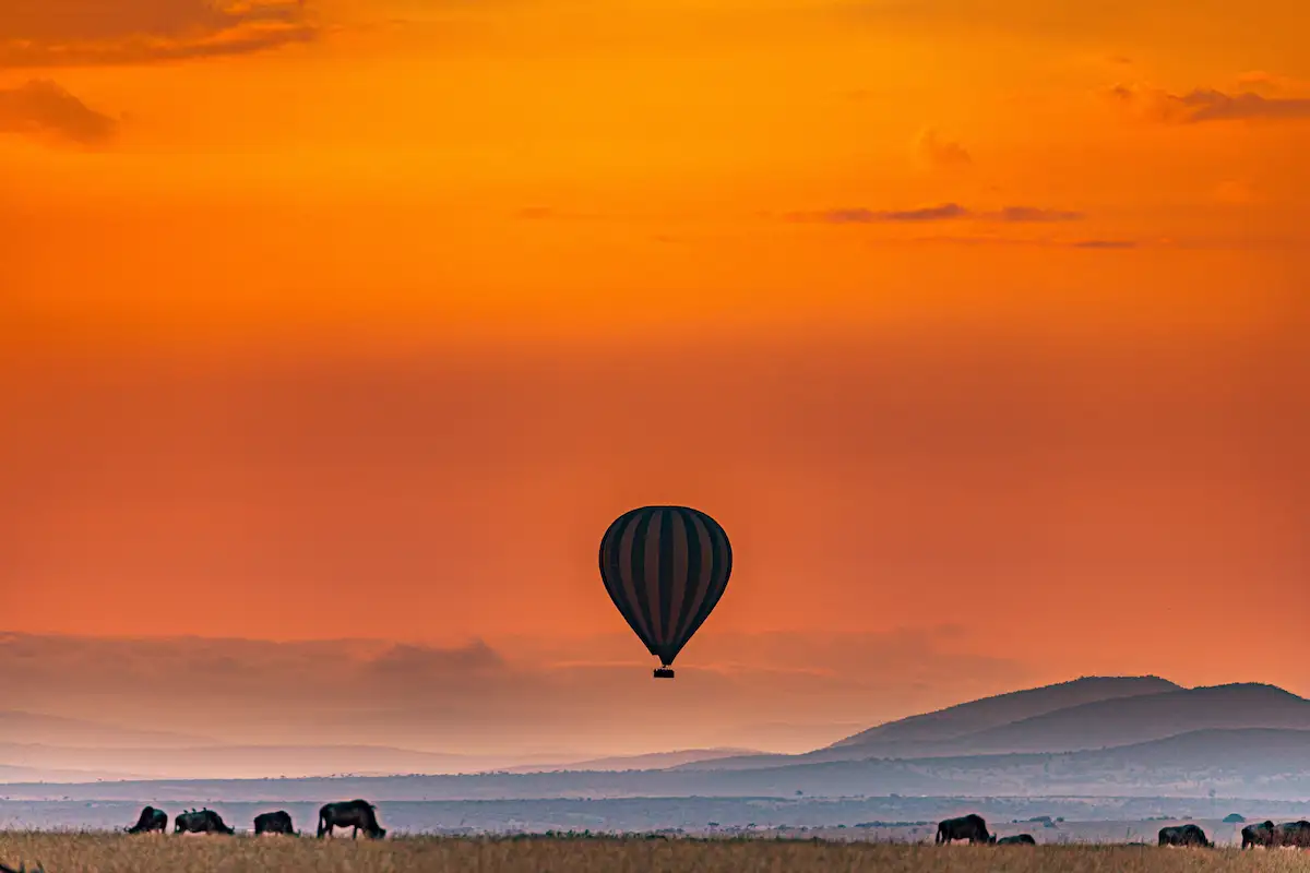 Hot Air Balloon Sunrise viewing wildebeest wildlife animals while grazing on hilly wilderness grassland savannah in the Maasai Mara National Game Reserve Park Narok County Great Rift Valley Kenya East
