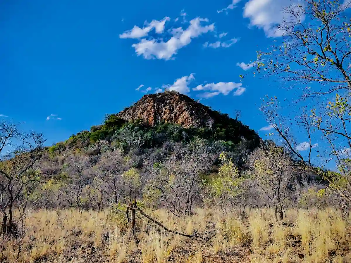 Kenya Landscapes Maasai Mara National Game Reserve Narok County 