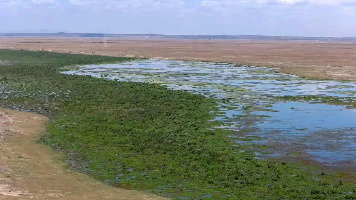 Observation Hill in Amboseli