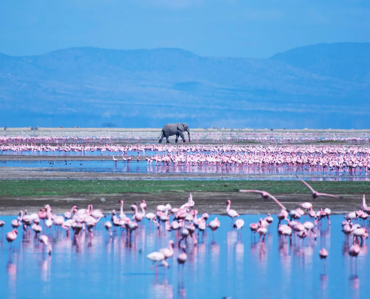 Lake Amboseli