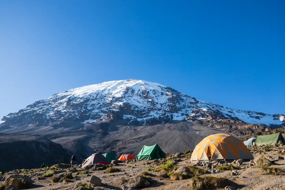 Morning Light on Kilimanjaro: A View from Karanga Camp