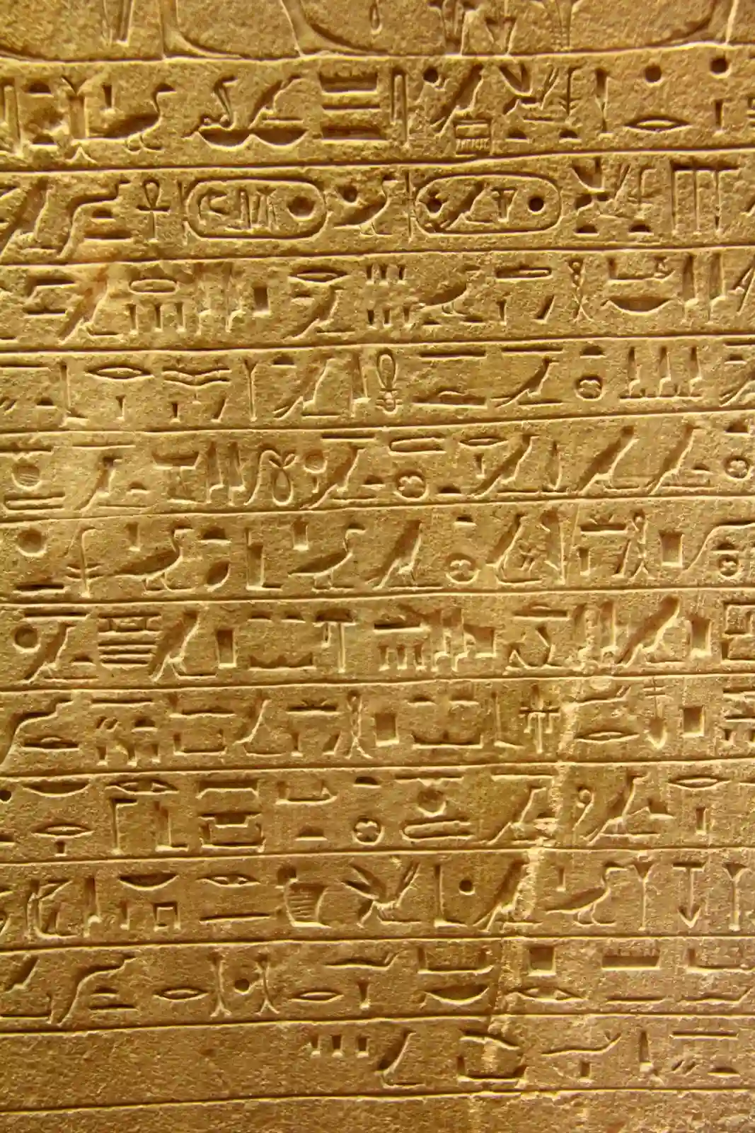 Amasis II donation stele