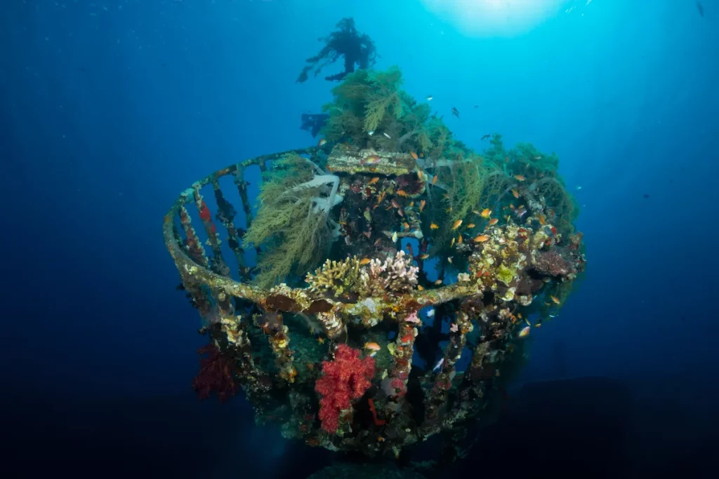 Cedar Pride Shipwreck in Jordan