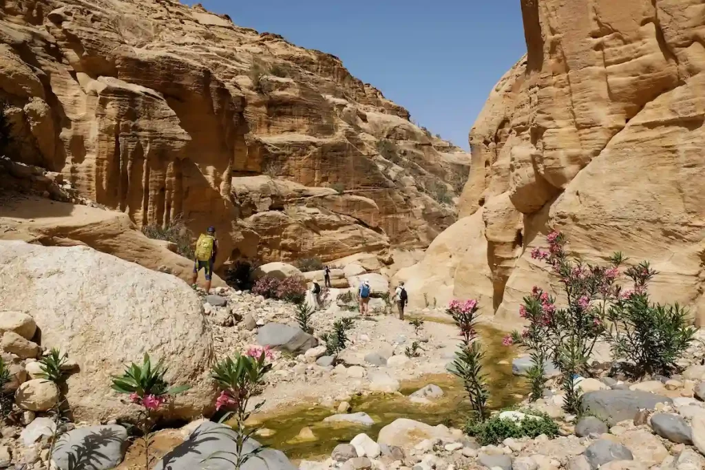 Dana Biosphere Reserve in Jordan. Amazing rocks in Wadi Ghuweir Canyon. Silhouette of hiking people on trail. Blooming oleander bushes.