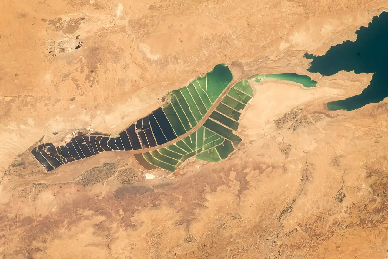 Gulf of Aqaba: A Powerful Guide to History, Nature, and the Red Sea Gateway