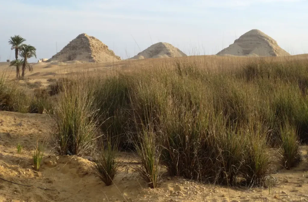 The Pyramids of Abusir