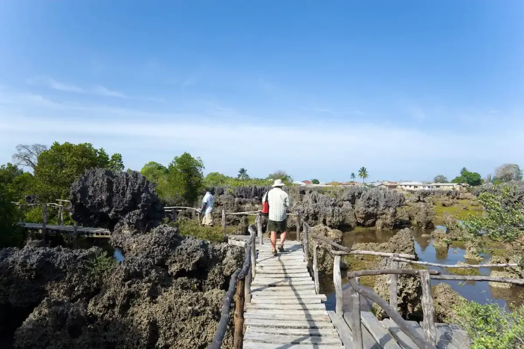 Tourists visiting Coral Garden, Wasini Island, Coast, Kenya