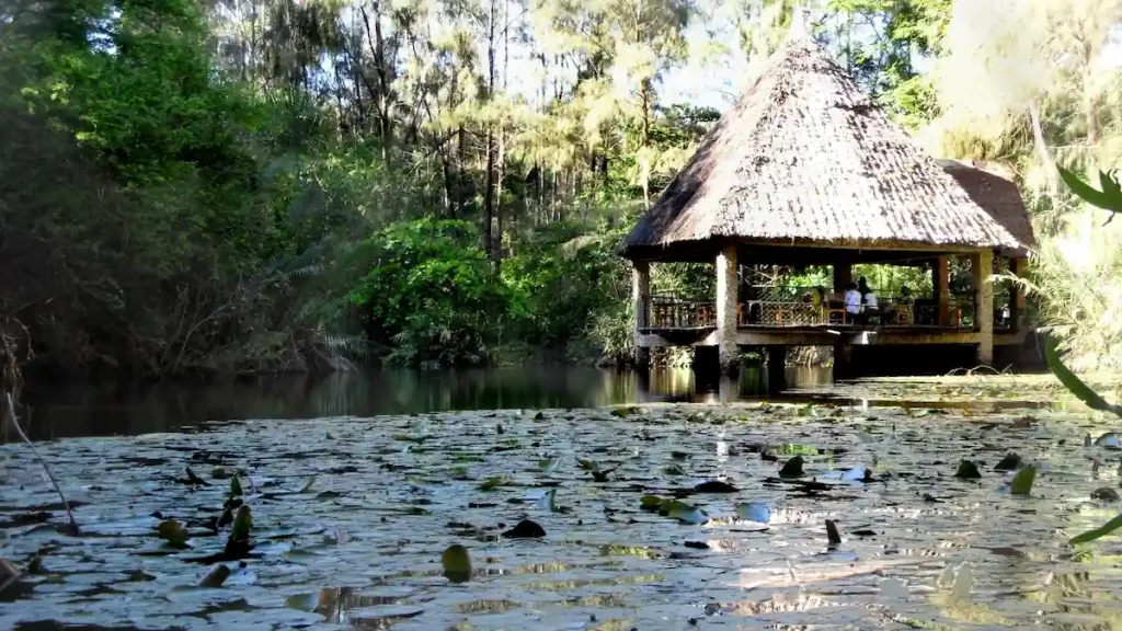 Where Is Haller Park Located