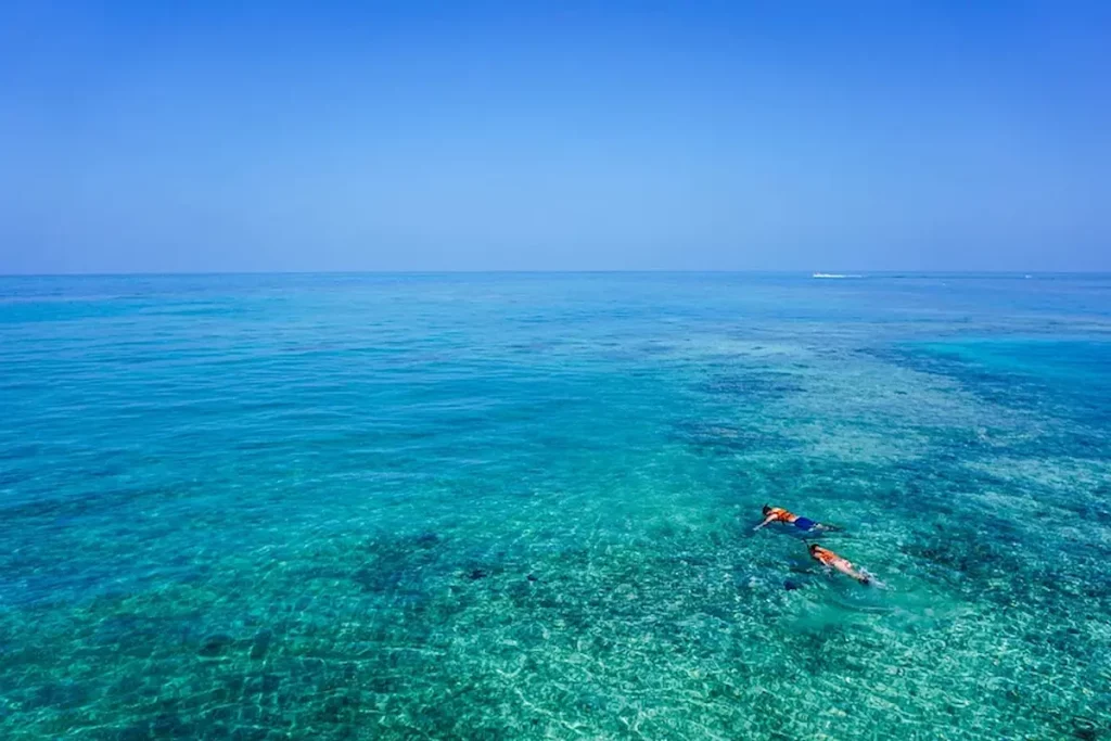 Where Mombasa Marine National Park Is Located