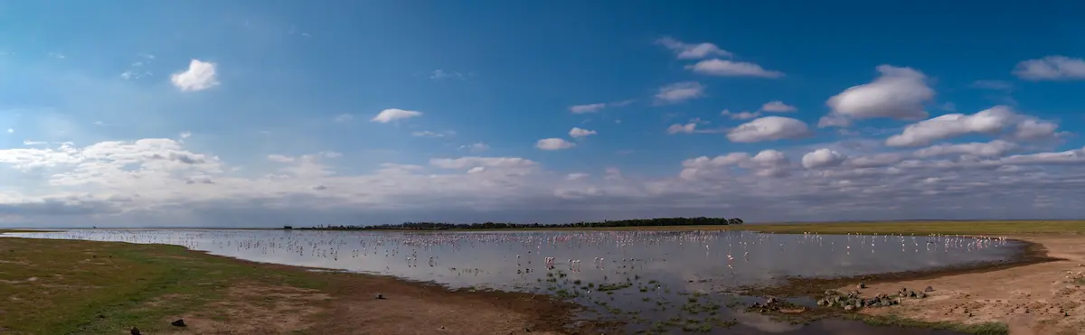Beautiful view of Amboseli National Park