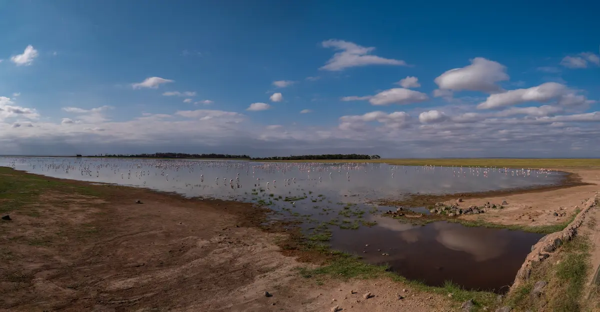  An attractive view of Amboseli National