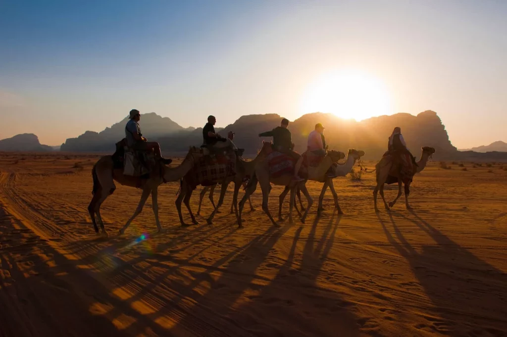 Tourist riding camels, desert, Arabia, Jordan, Wadi Rum, (Camelus dromedarius)