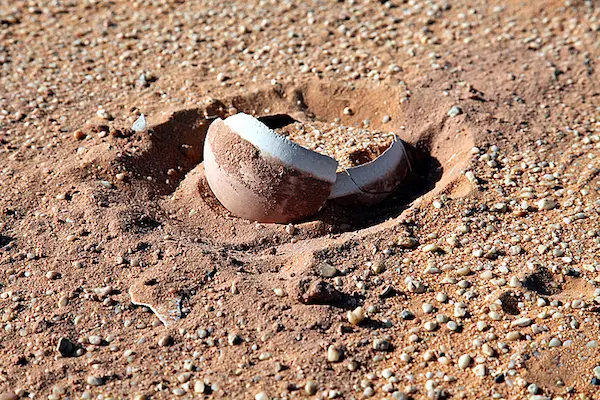 Ostrich egg, Gilf Kebir National Park