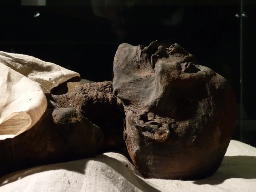 Ramses I Mummy