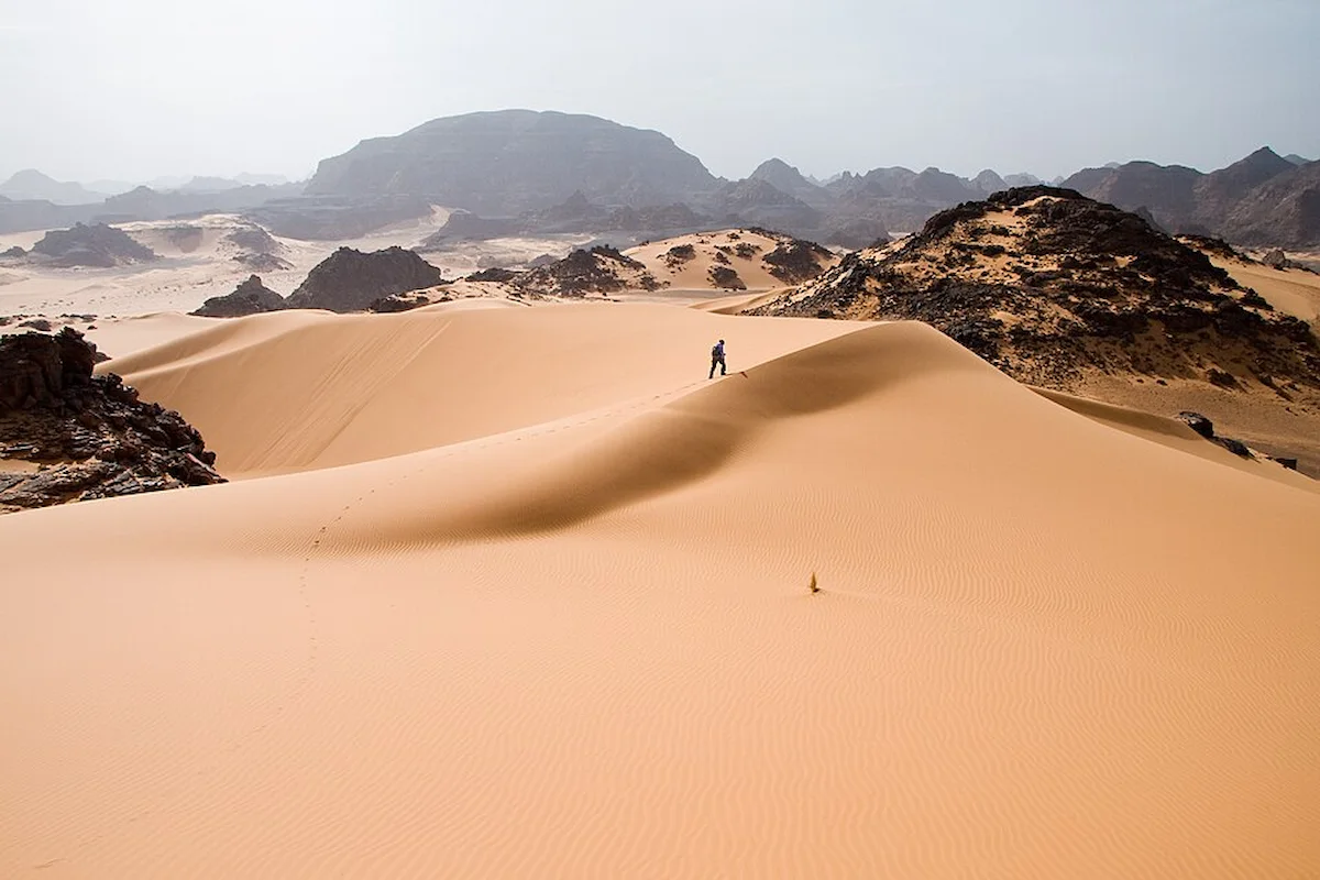Western Desert