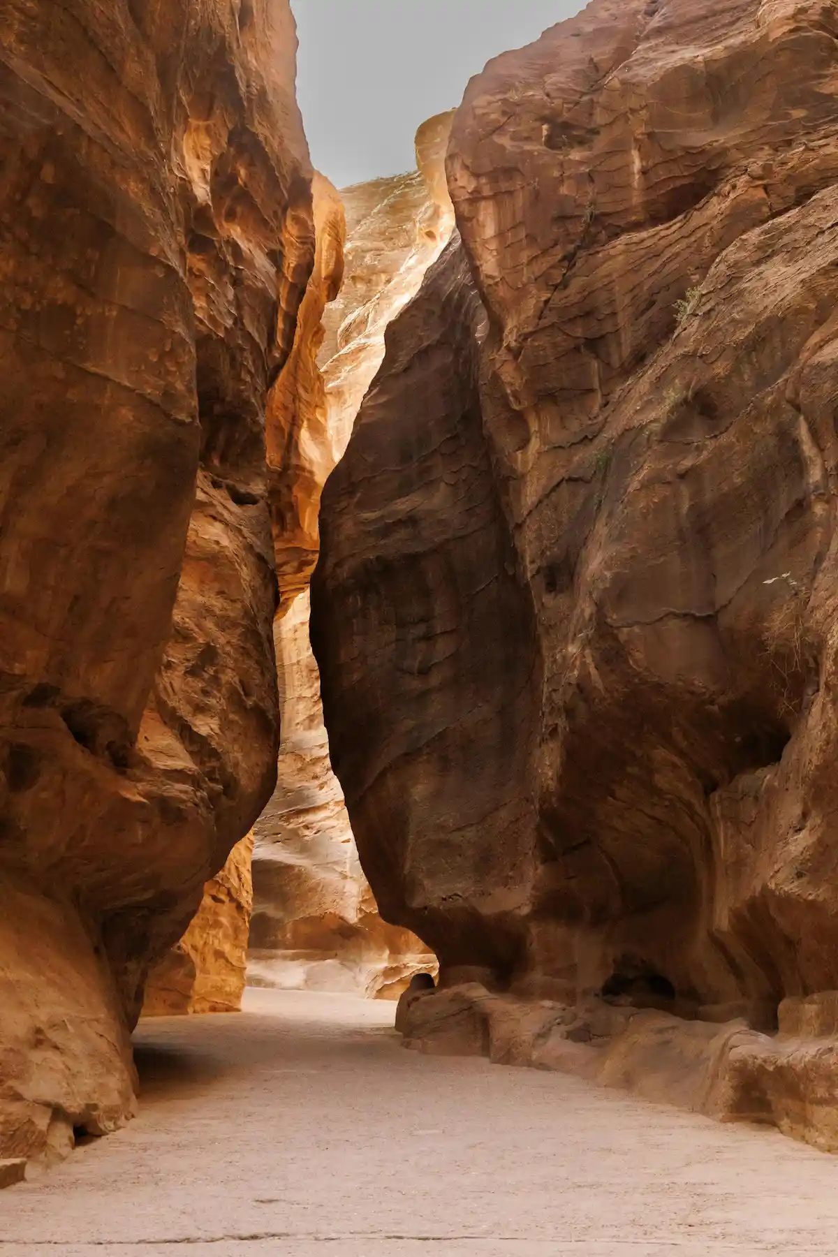 Majestic Sandstone Gorge in Wadi Musa, Jordan