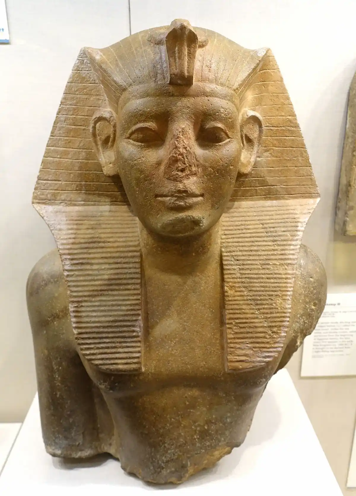 King Neferhotep