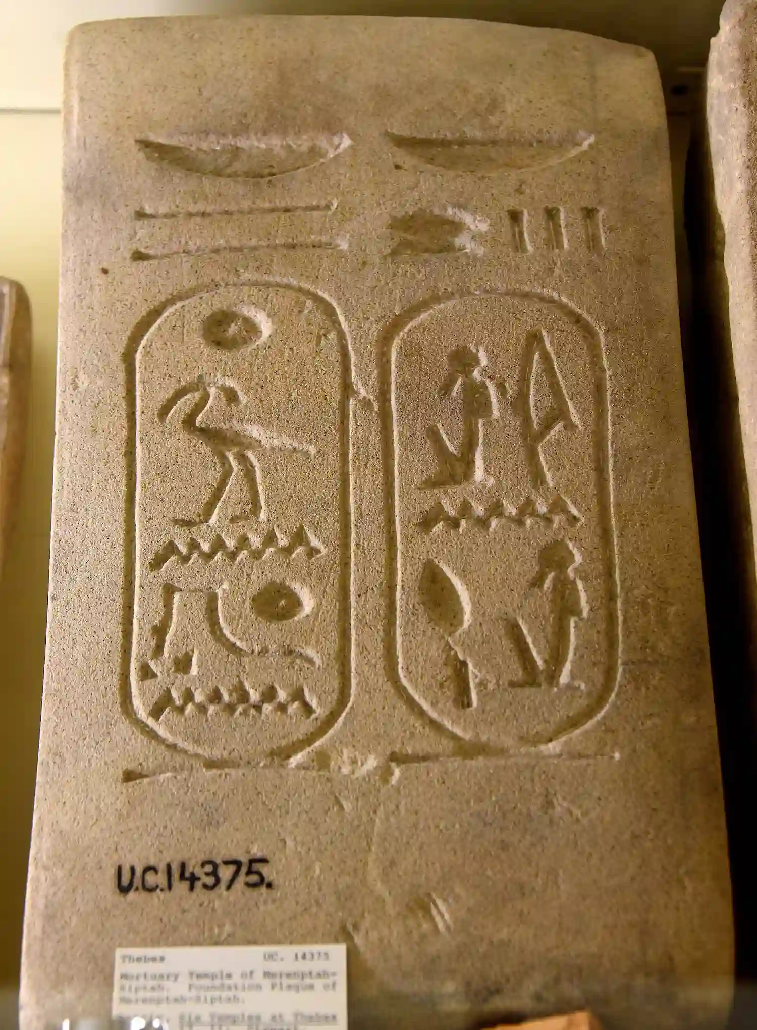 2 cartouches of king Siptah (Saptah, Merenptah-Siptah)