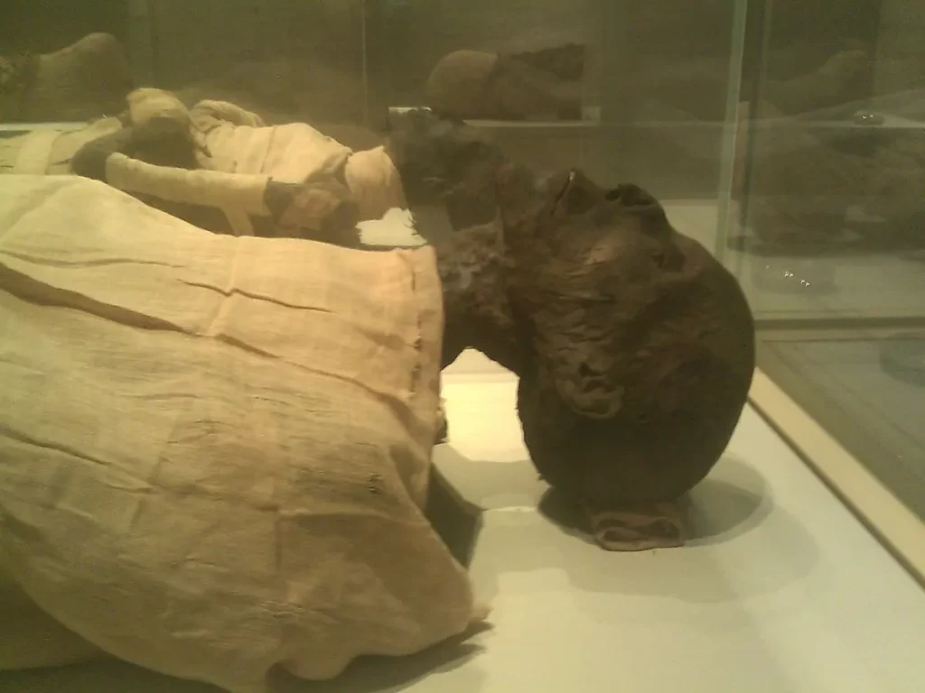 Amenhotep II mummy