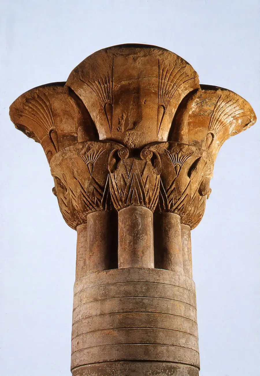 Ancient Egyptian Lotus Flower: The Sacred Secret of the Nile