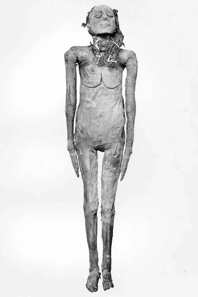 Mummy of Neskhons