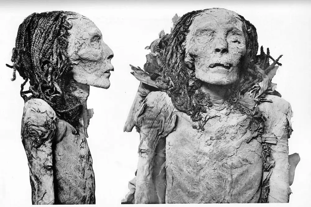 Queen Ahmose-Nefertari