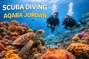 Scuba Diving in Aqaba Jordan​