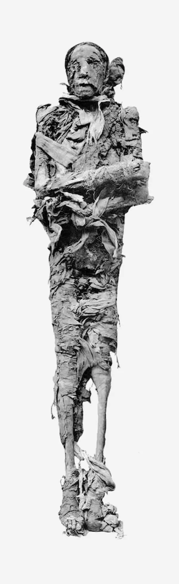 Siptah Mummy