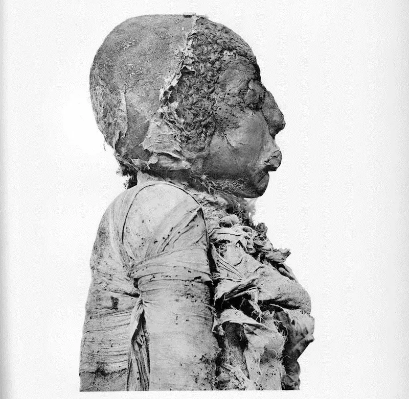 Tayuheret Mummy