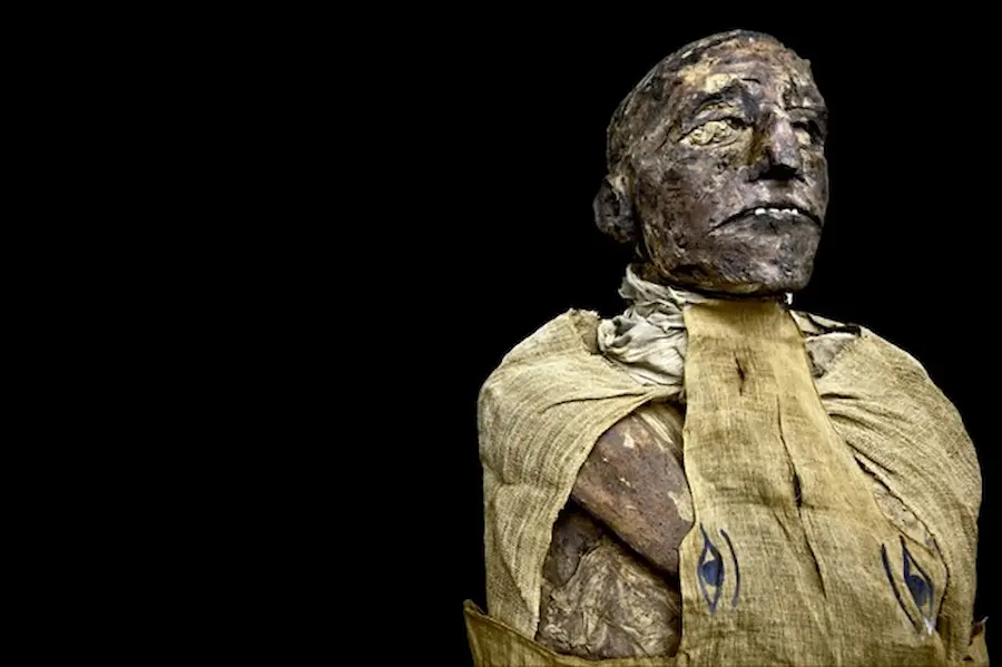 The mummy of Ramesses III