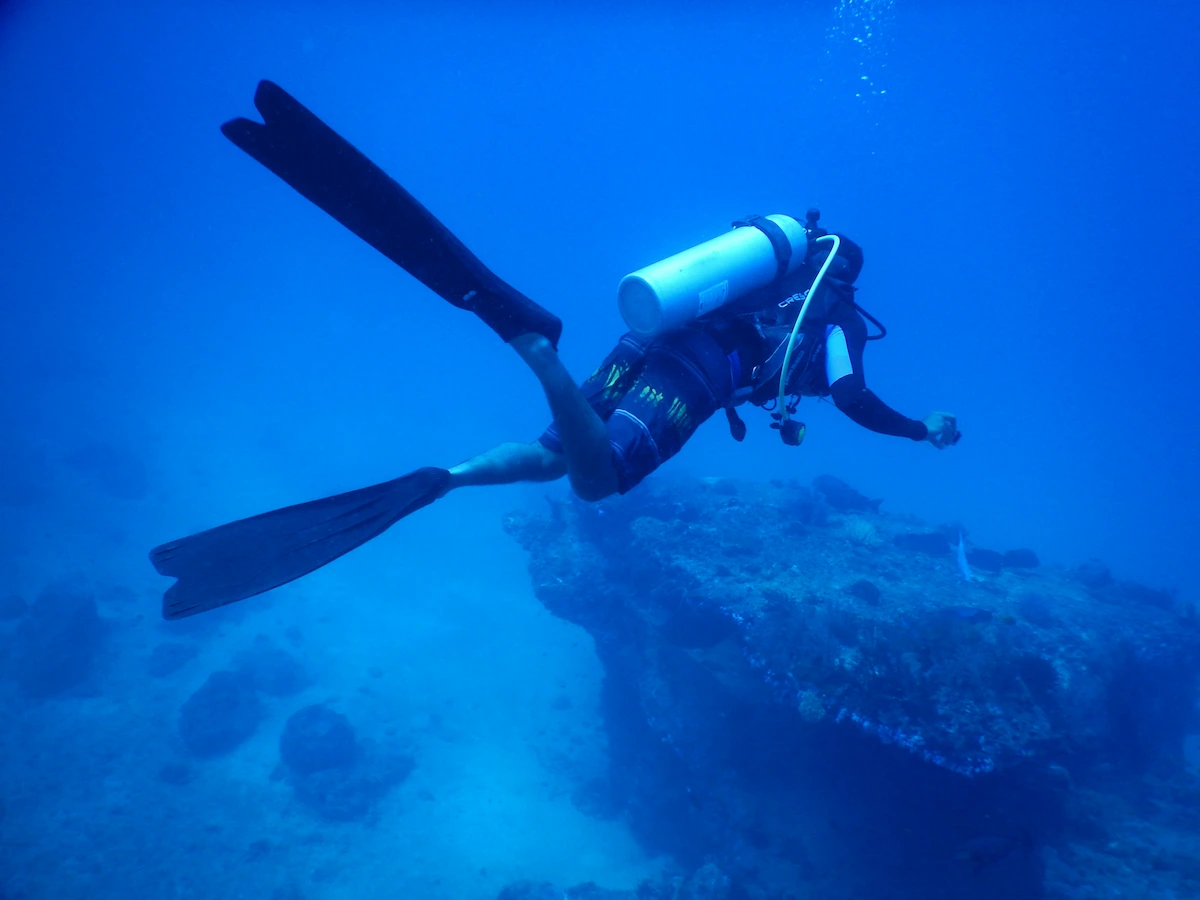 A Person Scuba Diving