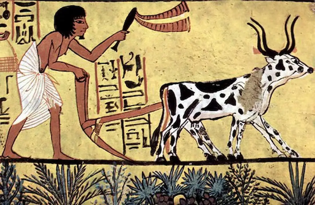 Ancient Egypt Farmers: 10 Remarkable Secrets of the Nile’s Backbone