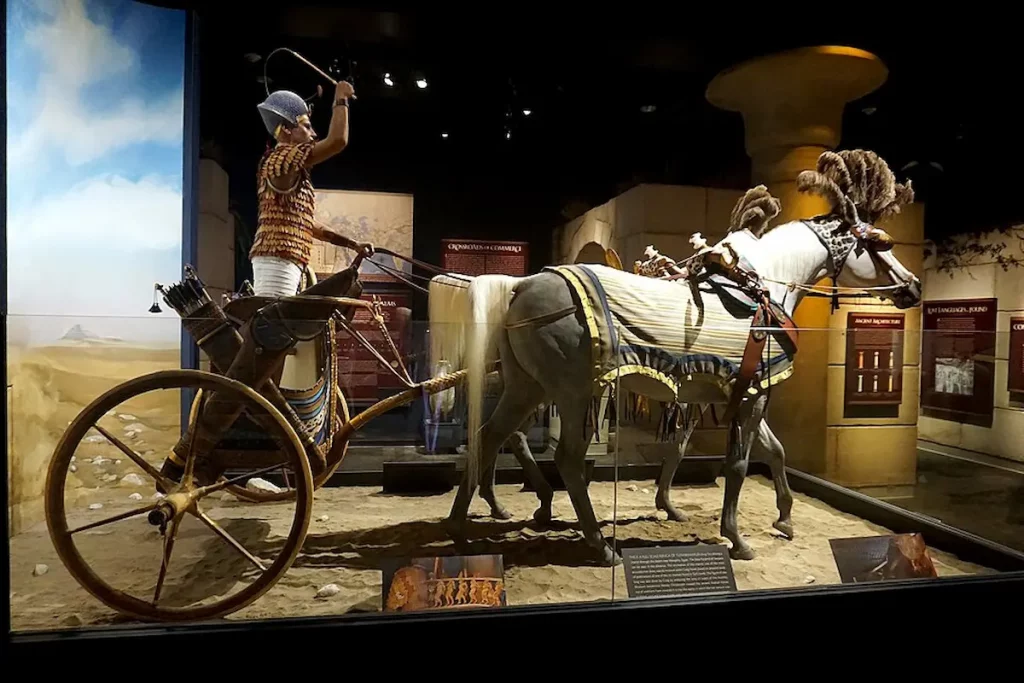 Ancient Egyptian War Chariots